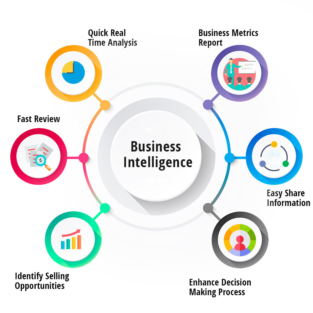 Business intelligence software