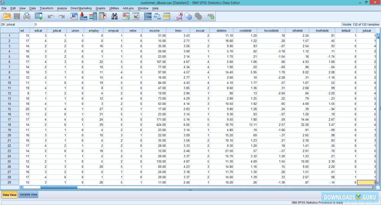 Spss software