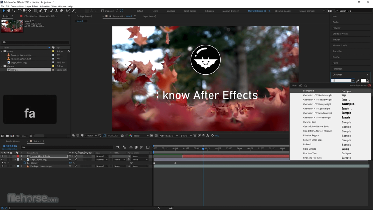 Adobe after effects