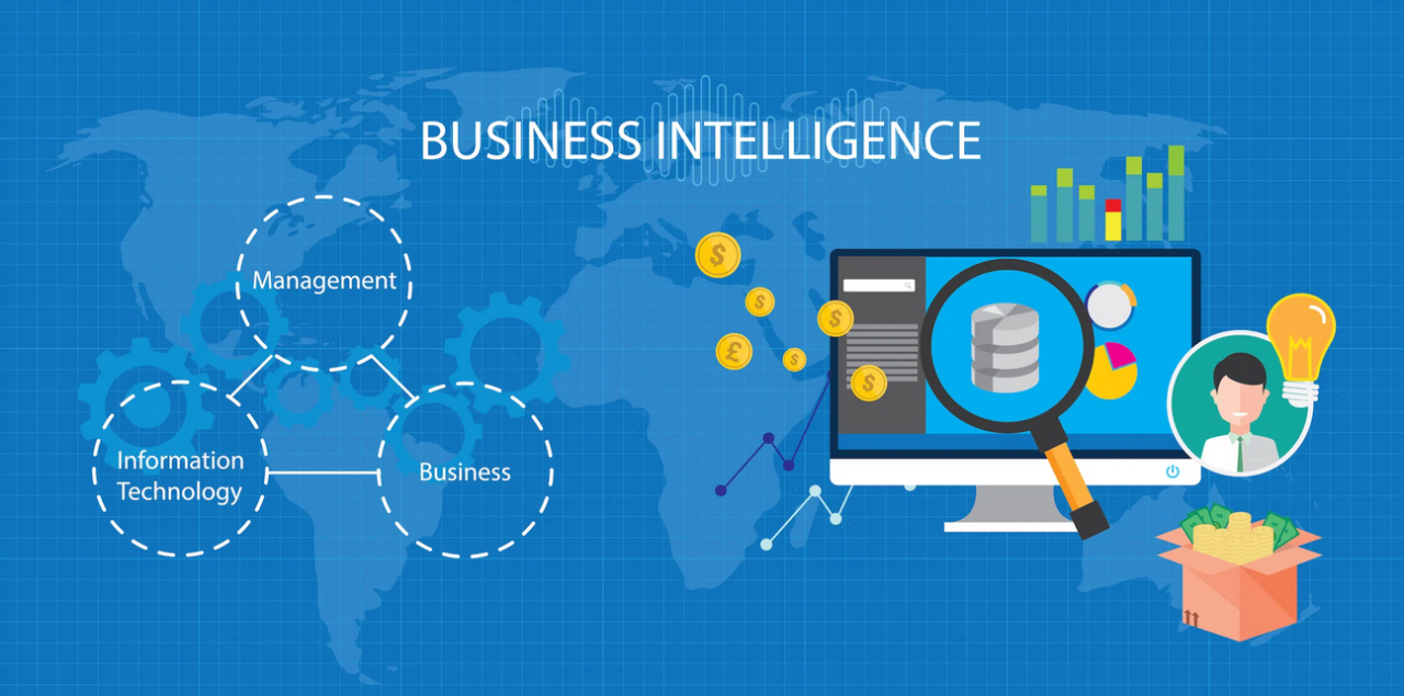 Business intelligence software